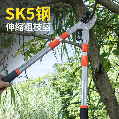 省力强力粗枝剪高枝剪树枝剪刀果树园艺剪刀伸缩大力剪园林大剪刀