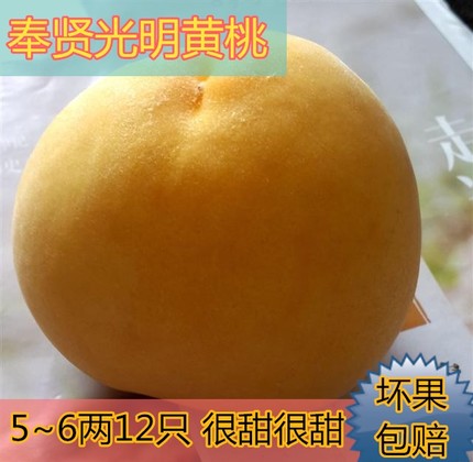 Shanghai Fengxian Bright Fairview Peach fresh Peach Gift box packaging 5~6 Both 12 Yao Zhuang Dangshan Yellow peachin the Aquatic meat/Fresh fruits and vegetables/Cooked , Fresh fruit , Peach category - from Buy2taobao.com to provide professional Taobao agent buy service