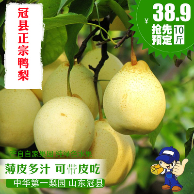 山东特产冠县鸭梨 丰水梨黄梨 新鲜梨子水果10斤包邮梨园现摘现发