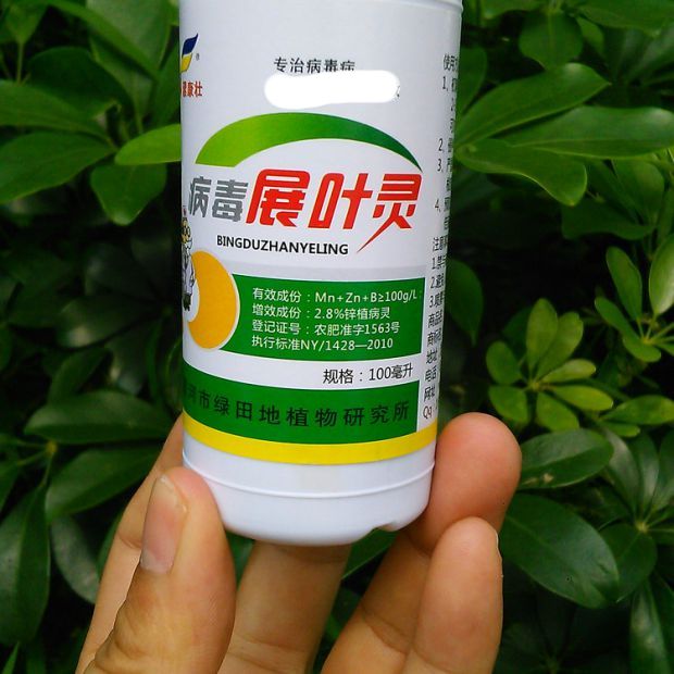 Cam Mosaic Lobular Yellow leaves Yellow Virus Tomatoes cucumber Pepper watermelon grapein the Agricultural goods , Fertilizer , Foliar category - from Buy2taobao.com to provide professional Taobao agent buy service