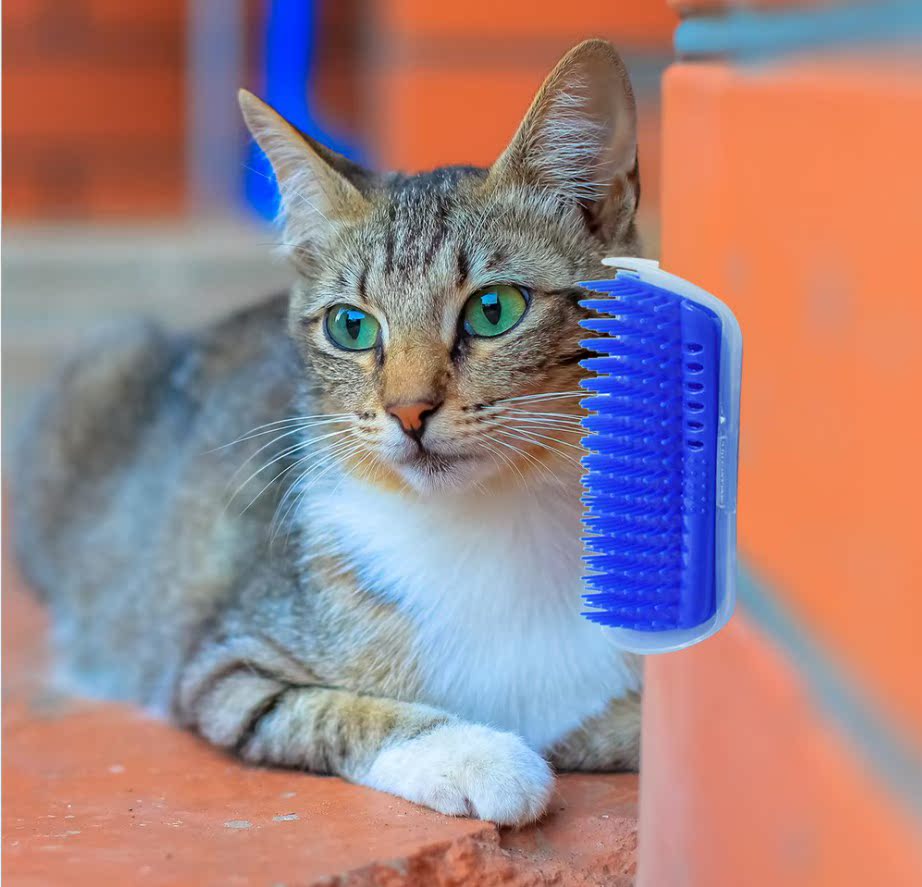 抖音同款猫墙角蹭毛器猫咪挠痒痒玩具蹭痒器按摩刷猫用蹭脸猫抓板|msdalam kategori haiwan peliharaan/makanan haiwan dan bekalan, Cat/Mainan anjing, Cat Scratcher - dari Buy2taobao.com untuk memberikan perkhidmatan ejen Taobao profesional membeli