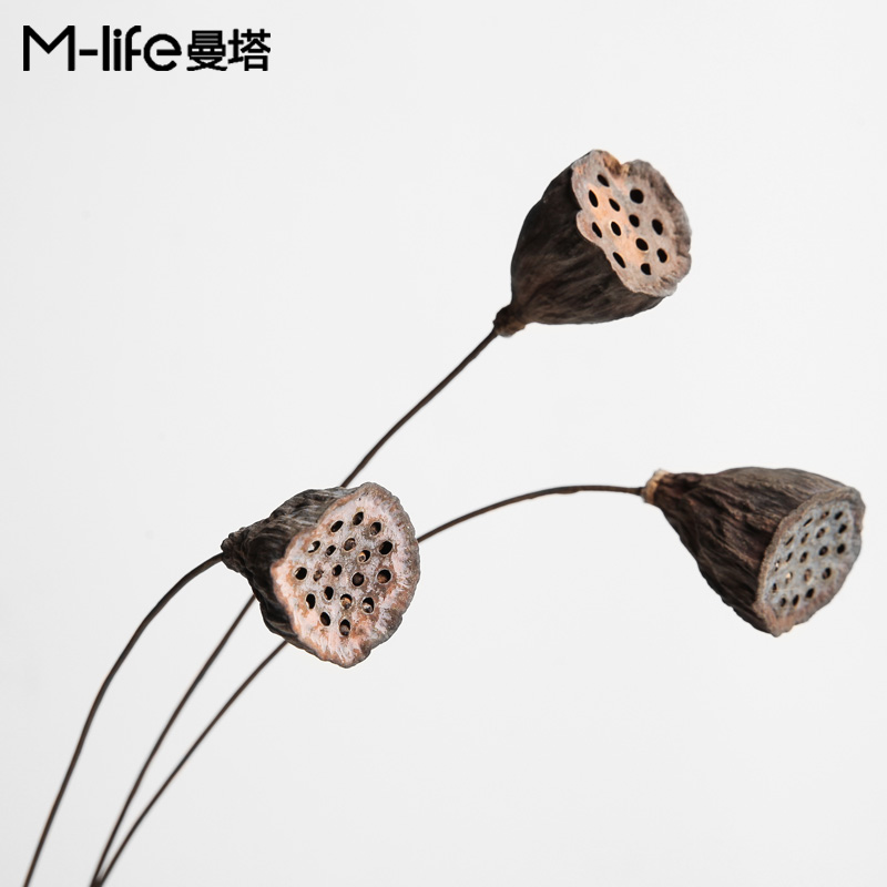 【小莲蓬】干莲蓬干花原生态莲蓬小摆件装饰道具艺术造型真花家居在类目 家居饰品, 花瓶/花器/仿真花/仿真饰品, 干花/花瓣/干花包/干树枝中 - 来自Buy2taobao.com提供专业的淘宝代购服务