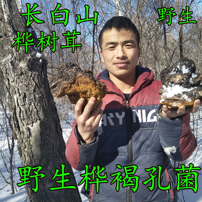 长白山脉野生桦褐层孔菌桦褐孔菌桦褐茸桦褐野生桦树菇500克包邮|msdalam kategori makanan berkhasiat tradisional, Ganoderma, Pemangkasan Ganoderma lucidum - dari Buy2taobao.com untuk memberikan perkhidmatan ejen Taobao profesional membeli