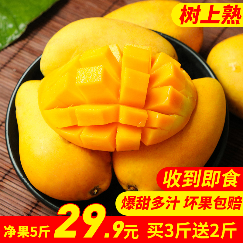 海南三亚现摘小台农芒果新鲜水果 当季小台芒净果5斤装非贵妃包邮在类目 水产肉类/新鲜蔬果/熟食, 新鲜水果, 芒果中 - 来自Buy2taobao.com提供专业的淘宝代购服务