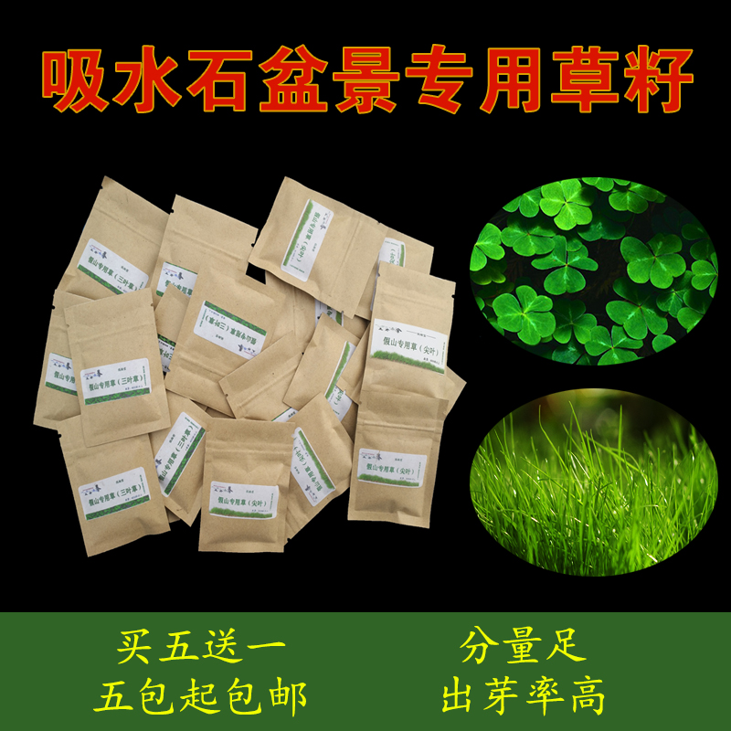 吸水石上水石假山盆景草籽绿植草种子圆叶草三叶草花草植物微景观在类目 鲜花速递/花卉仿真/绿植园艺, 园艺用品, 其它园艺用品中 - 来自Buy2taobao.com提供专业的淘宝代购服务