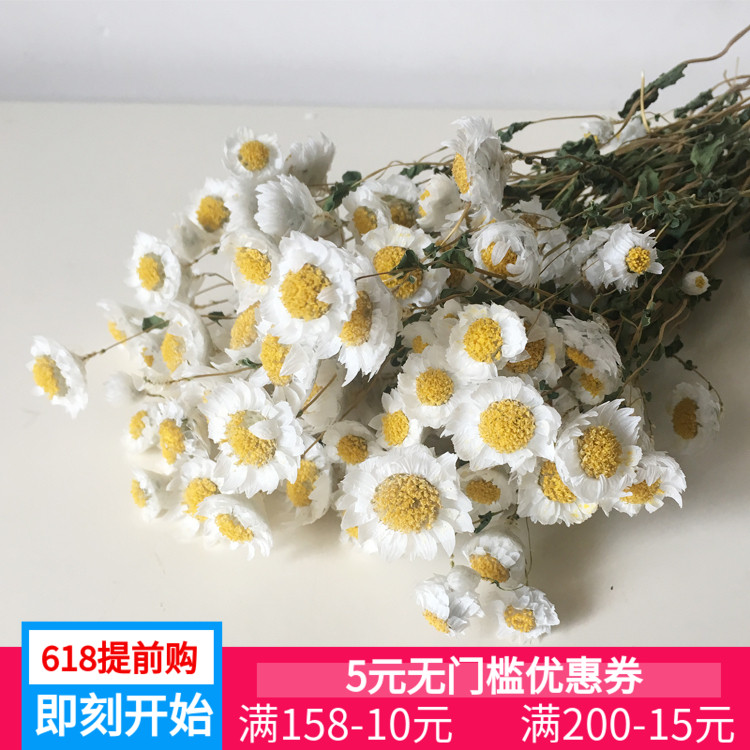 White Peony Dried flowers Bouquet of flowers literature Like a breath of fresh air Net Red Spend eternity a living room Home Furnishing decorate Rhodans dried flowersin the Home accessories , Vase/Flower/Artificial flowers/Imitation jewelry , Dried flowers/Petal/Dried package/Dry twigs category - from Buy2taobao.com to provide professional Taobao agent buy service