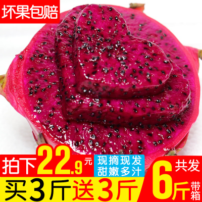 【买一送一】云南红心火龙果新鲜包邮迷你小果5斤当季现摘水果10