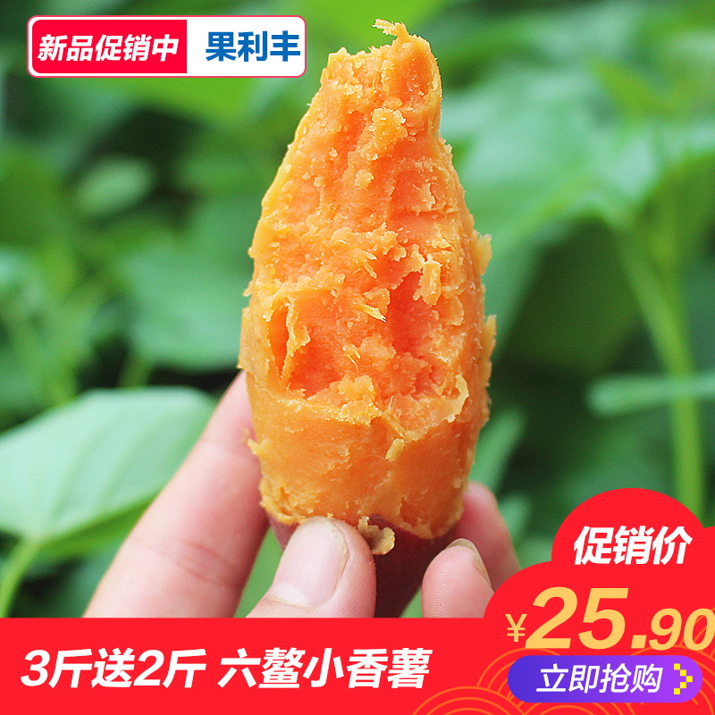 红薯新鲜小香薯六鳌红蜜薯番紫薯地瓜板栗山芋地瓜新鲜 农家现挖在类目 水产肉类/新鲜蔬果/熟食, 新鲜蔬菜/蔬菜制品, 新鲜蔬菜, 番薯中 - 来自Buy2taobao.com提供专业的淘宝代购服务