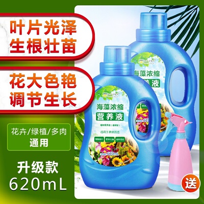 营养液土花肥料家用通用型盆栽植物绿萝发财树富贵竹多肉水培花卉