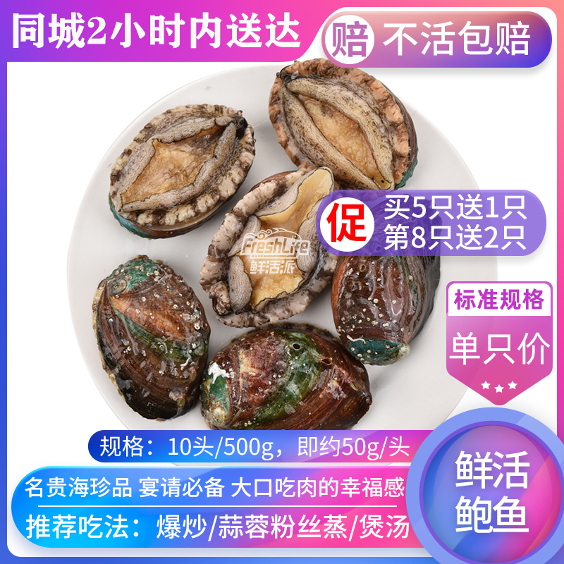 贵阳店 包鲜活大连10#鲍鱼单只价 特级野生鲍贝九孔螺海鲜之首在类目 水产肉类/新鲜蔬果/熟食, 海鲜/水产品/制品, 贝类, 鲍鱼中 - 来自Buy2taobao.com提供专业的淘宝代购服务