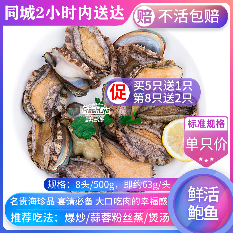 成都店 包鲜活大连8#鲍鱼单只价 特级野生鲍贝九孔螺海鲜之首在类目 水产肉类/新鲜蔬果/熟食, 海鲜/水产品/制品, 贝类, 鲍鱼中 - 来自Buy2taobao.com提供专业的淘宝代购服务