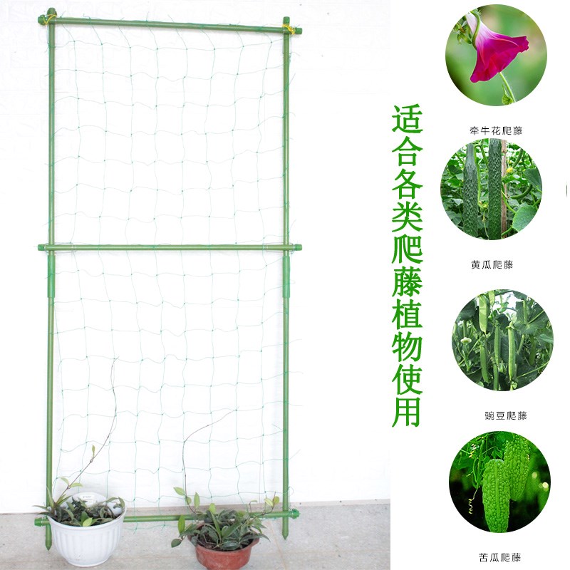 包邮 园艺花夏季 牵牛花爬藤架子 藤月夏季支架遮阳绿帘|ruв категории доставка цветов/цветок моделирования/растения садоводства, садовых принадлежностей, других садовых принадлежностей - от Buy2taobao.com для оказания профессиональной услуги покупки агента Taobao