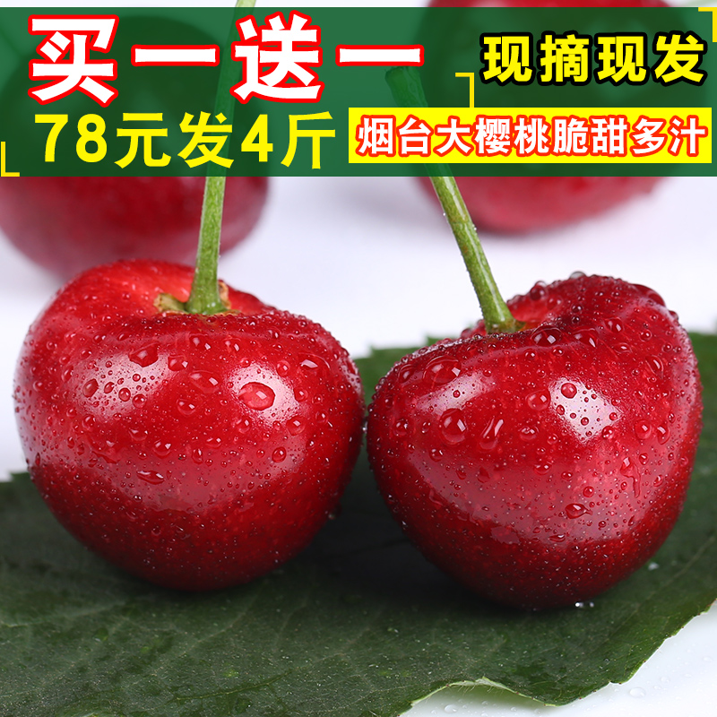 烟台大樱桃3新鲜车厘子水果殷桃4斤现摘现发山东大樱桃非现货智利|ruв категории водной мясо/свежие фрукты и овощи/еда, свежие фрукты, вишня/вишня - от Buy2taobao.com для оказания профессиональной услуги покупки агента Taobao