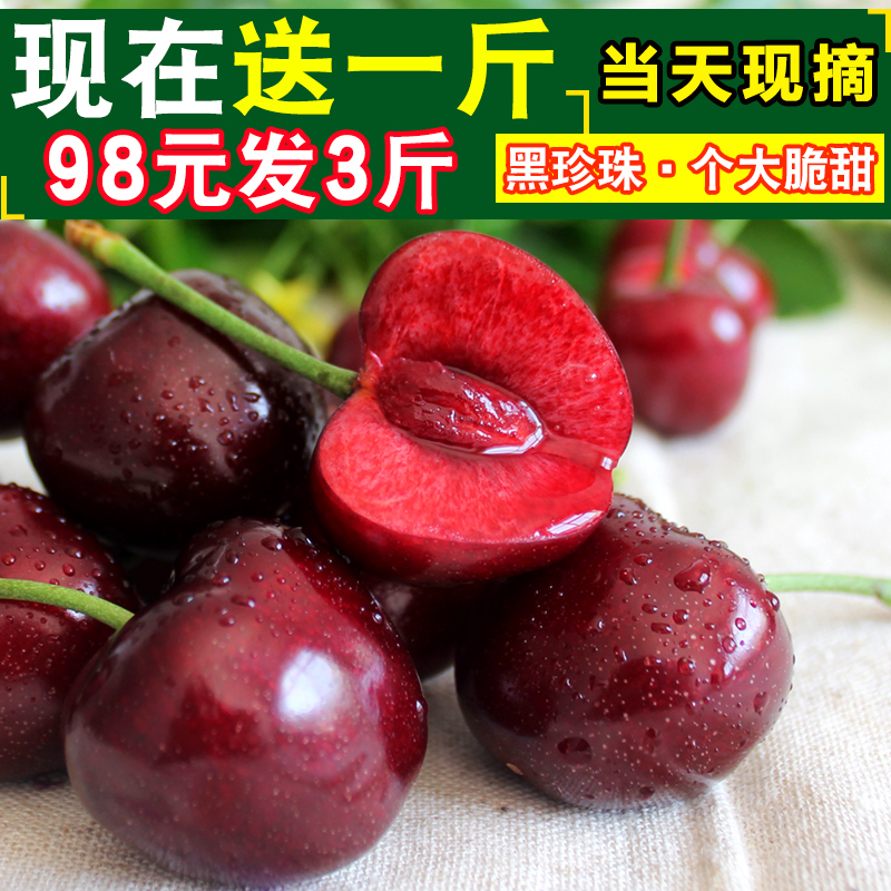 烟台大樱桃水果新鲜车厘子 应季山东黑珍珠每天5-10点现摘包邮3斤在类目 水产肉类/新鲜蔬果/熟食, 新鲜水果, 车厘子/樱桃中 - 来自Buy2taobao.com提供专业的淘宝代购服务
