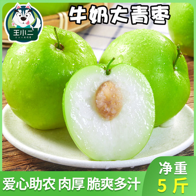 王小二 牛奶大青枣当季水果新鲜枣子包邮整箱甜脆5斤大枣10