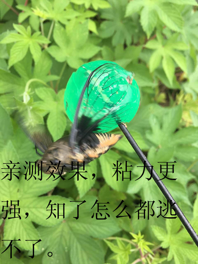 粘知了球沾知了粘球捕蝉工具粘球儿童玩具小球|msdalam kategori Toy/bayi/teka-teki/blok bangunan/model, sukan luar/Leisure/Mainan tradisional, Lain mainan rekreasi luar - dari Buy2taobao.com untuk memberikan perkhidmatan ejen Taobao profesional membeli
