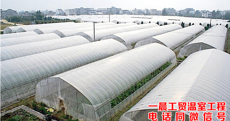 加厚型大棚膜 无滴膜 塑料薄膜 塑料纸 地膜 无滴大棚膜 黑白膜在类目 农机/农具/农膜, 农膜/篷布/遮网/大棚, 农用薄膜中 - 来自Buy2taobao.com提供专业的淘宝代购服务
