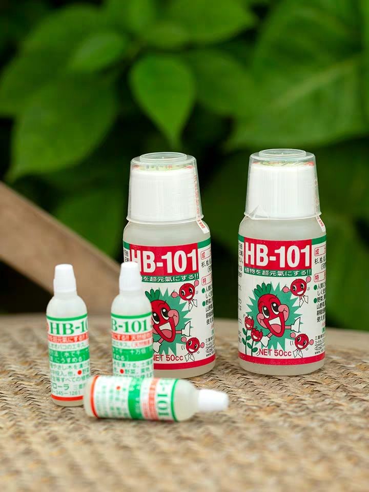 HB101 日本進口天然活力素人可以喝的營養液食用香草安全用藥包郵在類目 鮮花速遞/花卉仿真/綠植園藝, 園藝用品, 家庭園藝肥料/營養土/營養液中 - 來自Buy2taobao.com提供專業的淘寶代購服務