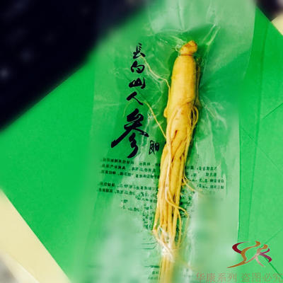 5支包邮【10送3】保鲜人参毛50g鲜人参泡酒煲汤长白山保鲜参|msdalam kategori makanan berkhasiat tradisional, ginseng tonik, ginseng/ginseng - dari Buy2taobao.com untuk memberikan perkhidmatan ejen Taobao profesional membeli
