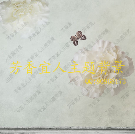 新款无缝布款摄影背景布写真布影楼主题防水PP纸挂拍儿童S-488在类目 模玩/动漫/周边/cos/桌游, 手办/扭蛋/人偶/BJD/兵人, BJD娃娃专区中 - 来自Buy2taobao.com提供专业的淘宝代购服务