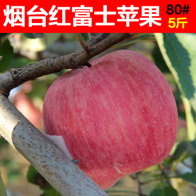 2017年新鲜现摘大苹果烟台红将军红富士苹果栖霞苹果孕妇水果5斤