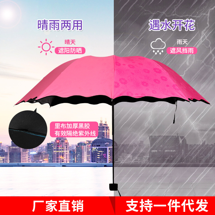荷葉邊遇水開花晴雨傘 黑膠防紫外線遮陽傘太陽傘 創意三折傘在類目 居家日用, 傘/雨具/防雨/防潮, 傘中 - 來自Buy2taobao.com提供專業的淘寶代購服務