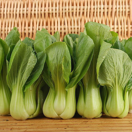 Shanghai Green Seeds Cabbage seeds Small rape seed Home gardens The shop is full 20 elementin the Agricultural goods , Seed/Seedlings , Vegetable Seeds category - from Buy2taobao.com to provide professional Taobao agent buy service