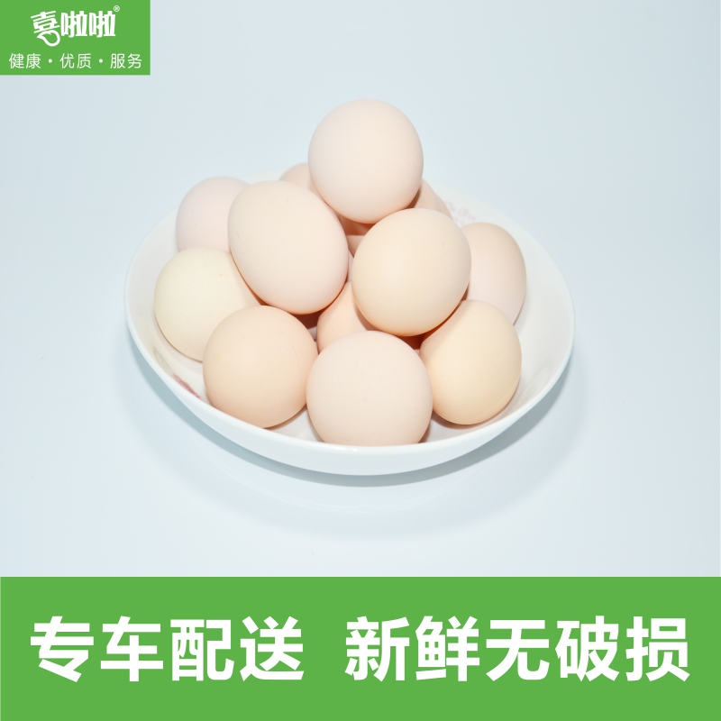 Joy cheerleading fresh Cereals free range eggs ChaiJiDan Grass eggs Hi egg 200 Goldin the Aquatic meat/Fresh fruits and vegetables/Cooked , Egg/Egg Products , Fresh eggs , Eggs category - from Buy2taobao.com to provide professional Taobao agent buy service