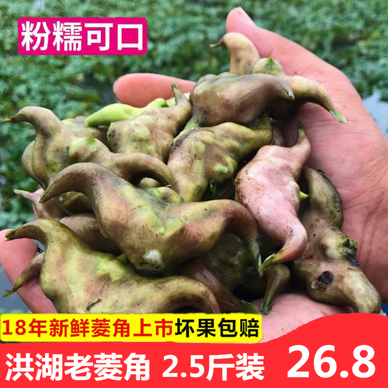 Honghu fresh Water chestnut wild Qinghei Water chestnut Fresh vegetables 3in the Aquatic meat/Fresh fruits and vegetables/Cooked , Fresh vegetables/Vegetable products , Fresh vegetables , Other category - from Buy2taobao.com to provide professional Taobao agent buy service