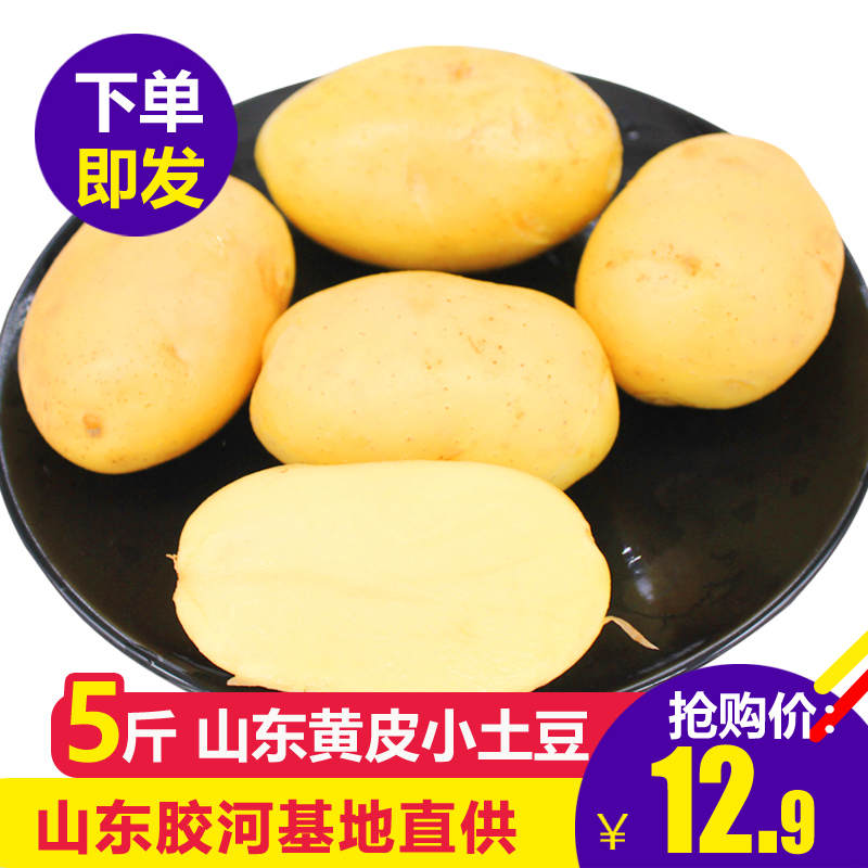 【5斤】新鮮土豆農家自種農産品新鮮迷妳小土豆包郵蔬菜馬鈴薯在類目 水產肉類/新鮮蔬果/熟食, 新鮮蔬菜/蔬菜製品, 新鮮蔬菜, 土豆中 - 來自Buy2taobao.com提供專業的淘寶代購服務