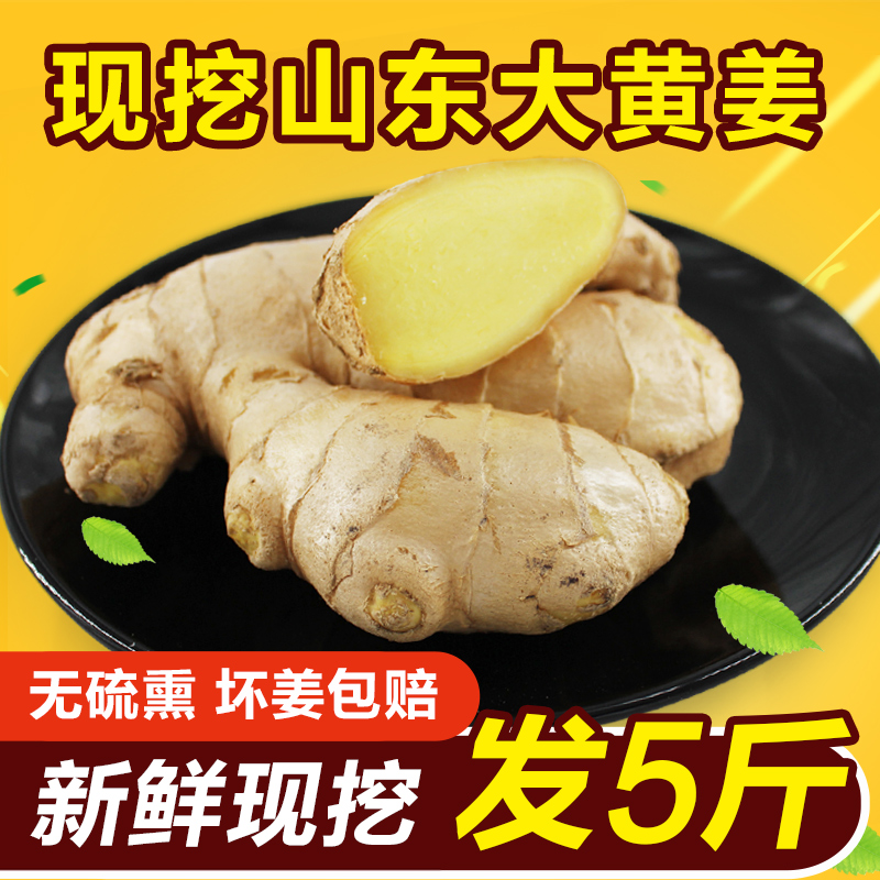 【发5斤】山东大黄姜散装老姜新鲜农家特产土姜调味鲜姜生姜蔬菜|ruв категории водной мясо/свежие фрукты и овощи/еда, свежие овощи/овощной продукции, имбирь - от Buy2taobao.com для оказания профессиональной услуги покупки агента Taobao