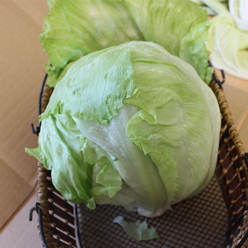 密云自产新鲜球生菜 圆生菜 农家大粪无公害沙拉西生菜400-600g在类目 水产肉类/新鲜蔬果/熟食, 新鲜蔬菜/蔬菜制品, 新鲜蔬菜, 其它中 - 来自Buy2taobao.com提供专业的淘宝代购服务