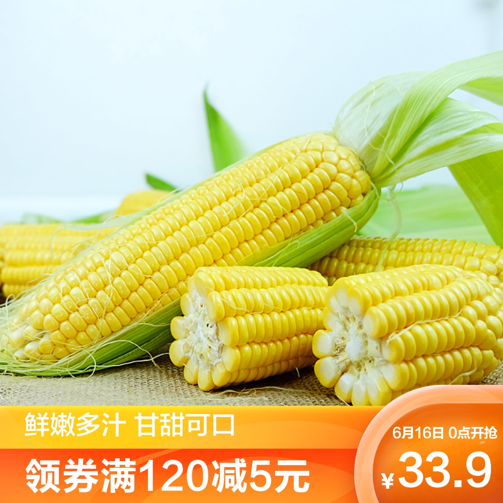 淘乡甜广西横县新鲜水果甜玉米9斤包邮现摘现发甜玉米棒包谷包邮|ruв категории водной мясо/свежие фрукты и овощи/еда, свежие овощи/овощной продукции, свежие овощи, свежая кукуруза - от Buy2taobao.com для оказания профессиональной услуги покупки агента Taobao