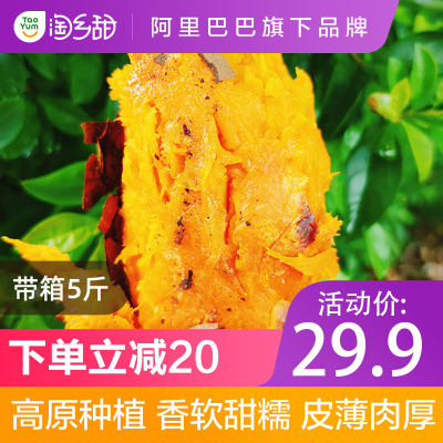 淘乡甜云南建水高原蜜薯新鲜红薯番薯黄心地瓜净重5斤可烤可煮