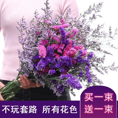 云南勿忘我干花花束混搭家庭饰品家居摆设办公装饰鲜花拍摄道具