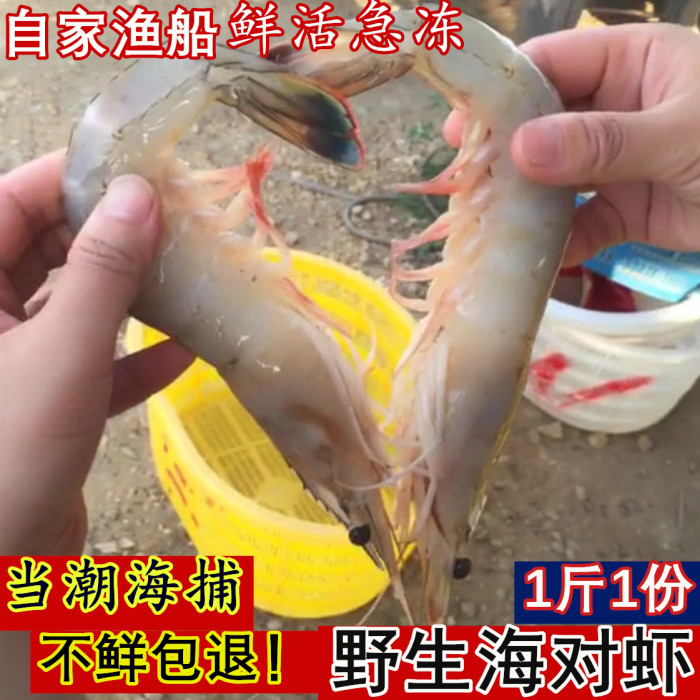 野生對蝦活蝦速凍新鮮基圍蝦斑節蝦海鮮水産明蝦海捕大蝦包郵在類目 水產肉類/新鮮蔬果/熟食, 海鮮/水產品/製品, 蝦類, 活蝦中 - 來自Buy2taobao.com提供專業的淘寶代購服務