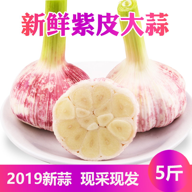 大蒜新鲜大蒜头山东紫皮大蒜湿蒜5斤非干蒜|msdalam kategori daging perikanan/Buah-buahan segar dan sayur-sayuran/dimasak, sayur-sayuran segar/Vegetable Products, bawang putih - dari Buy2taobao.com untuk memberikan perkhidmatan ejen Taobao profesional membeli