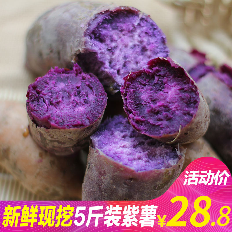 【鲜当家】小紫薯迷你番薯新鲜现挖地瓜红薯香薯5斤紫芋头|ruв категории водной мясо/свежие фрукты и овощи/еда, свежие овощи/овощной продукции, свежие овощи, сладкий картофель - от Buy2taobao.com для оказания профессиональной услуги покупки агента Taobao