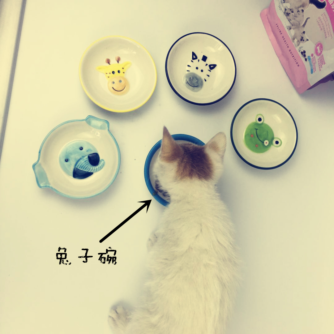 宠物猫碗陶瓷卡通幼猫奶猫碗小猫碗可爱|ruв категории животное/Животное питание и принадлежностей, кошка/собака товаров, чаша - от Buy2taobao.com для оказания профессиональной услуги покупки агента Taobao