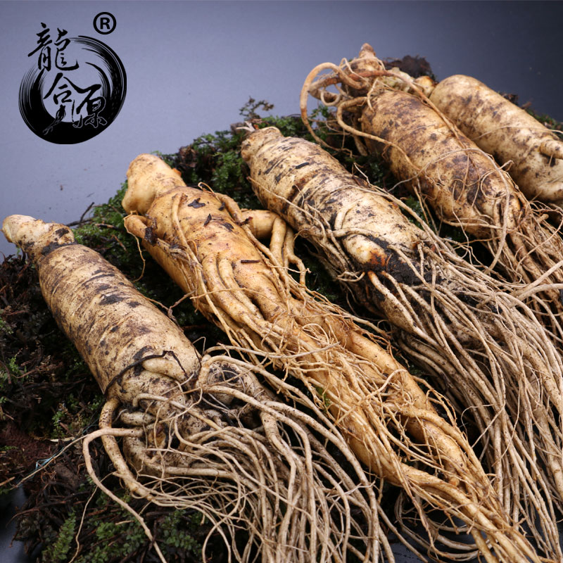 ginseng Changbai fresh ginseng Paojiu Wild ginseng Korea Mountain ginseng Jilin White Ginsengin the Traditional nourishing food , Ginseng tonic , Ginseng/Garden ginseng category - from Buy2taobao.com to provide professional Taobao agent buy service