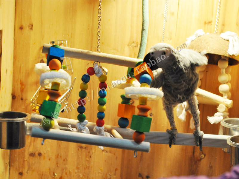 parrot Toys large Ladder Grey Parrot Toys Toy wood Natural loofah Toysin the Pet/Pet food and supplies , Birds and supplies , Bird appliances (New) , Swing category - from Buy2taobao.com to provide professional Taobao agent buy service