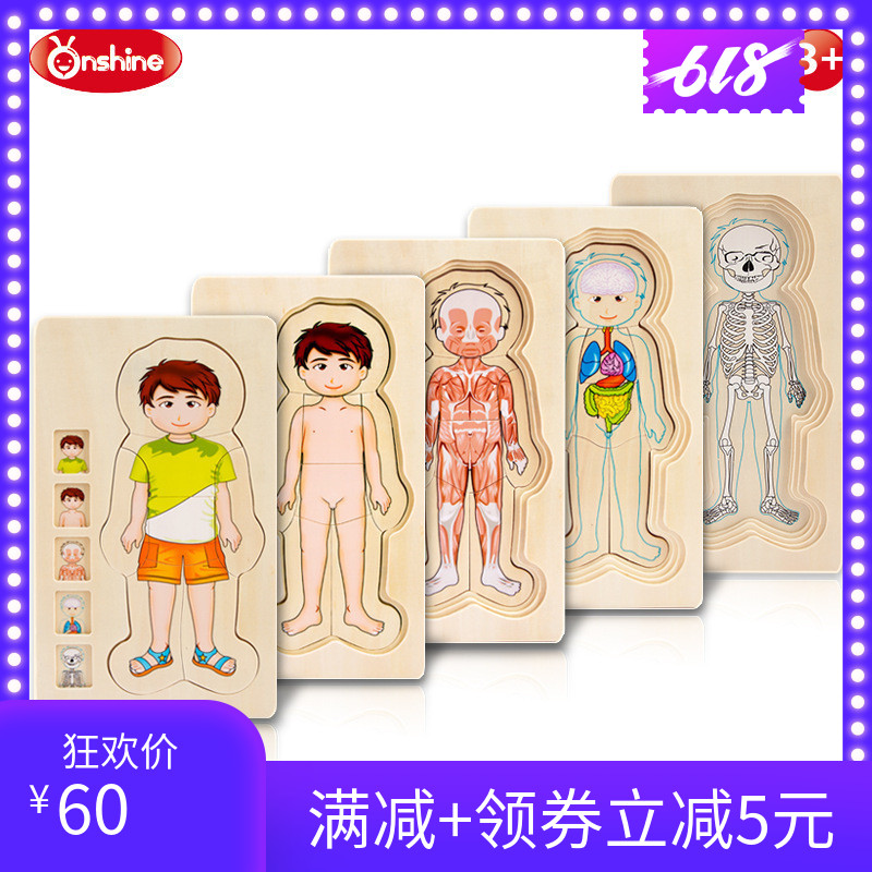 Onshine男女孩人体结构木制多层拼图 幼儿童启蒙早教益智玩具在类目 玩具/童车/益智/积木/模型, 串珠/拼图/配对/拆装/敲打玩具, 拼图/拼板中 - 来自Buy2taobao.com提供专业的淘宝代购服务
