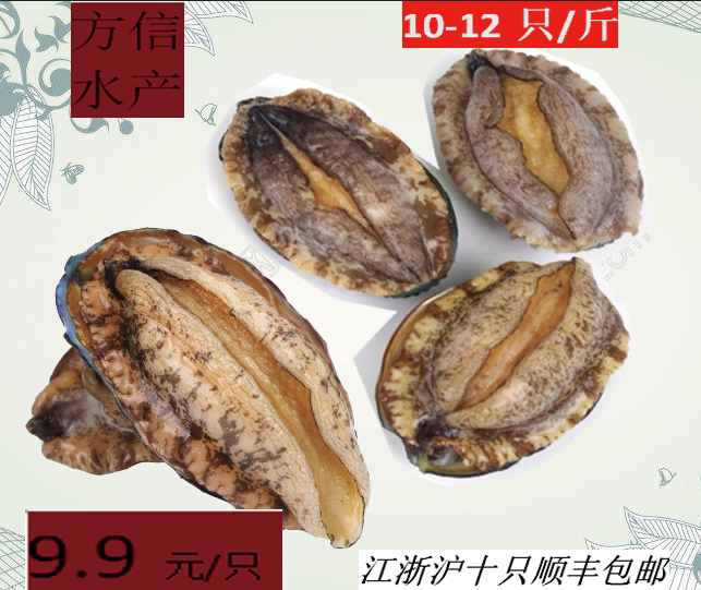 方信水産鮑魚海鮮貝類水産冷凍水産在類目 水產肉類/新鮮蔬果/熟食, 海鮮/水產品/製品, 貝類, 鮑魚中 - 來自Buy2taobao.com提供專業的淘寶代購服務