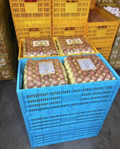金凤凰鸡蛋箱蛋箱鸡蛋筐塑料可折叠折叠周转箱折叠箱配套八个蛋托|msdalam kategori penyatuan simpanan, Rumah Storage Appliances, kotak simpanan, kotak simpanan - dari Buy2taobao.com untuk memberikan perkhidmatan ejen Taobao profesional membeli