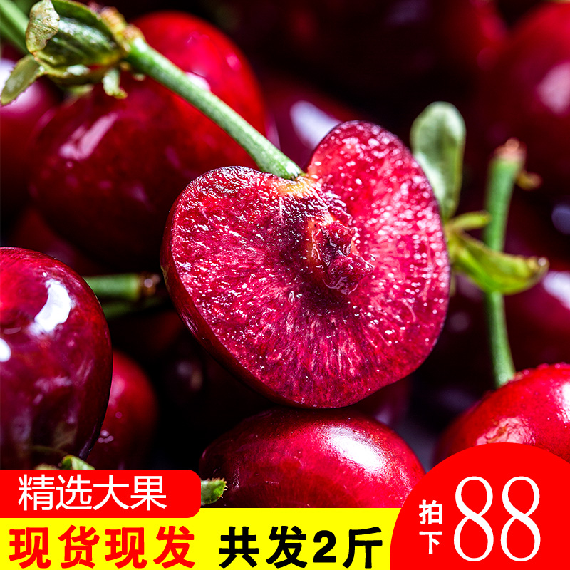 Yantai Cherry Cherry goods in stock 2 pounds fresh fruit Season Meizao 5 Child car 10 pregnant womanin the Aquatic meat/Fresh fruits and vegetables/Cooked , Fresh fruit , Cherries/Cherry category - from Buy2taobao.com to provide professional Taobao agent buy service