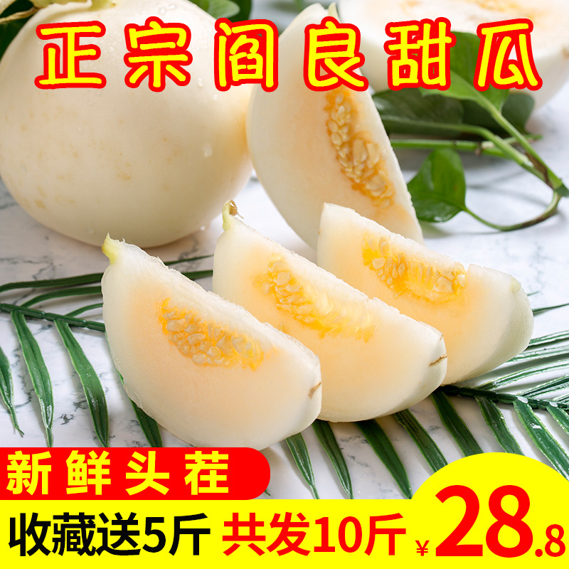 阎良甜瓜水果新鲜包邮带箱10斤批发当季蜜瓜现摘现发香瓜哈密瓜在类目 水产肉类/新鲜蔬果/熟食, 新鲜水果, 甜瓜中 - 来自Buy2taobao.com提供专业的淘宝代购服务