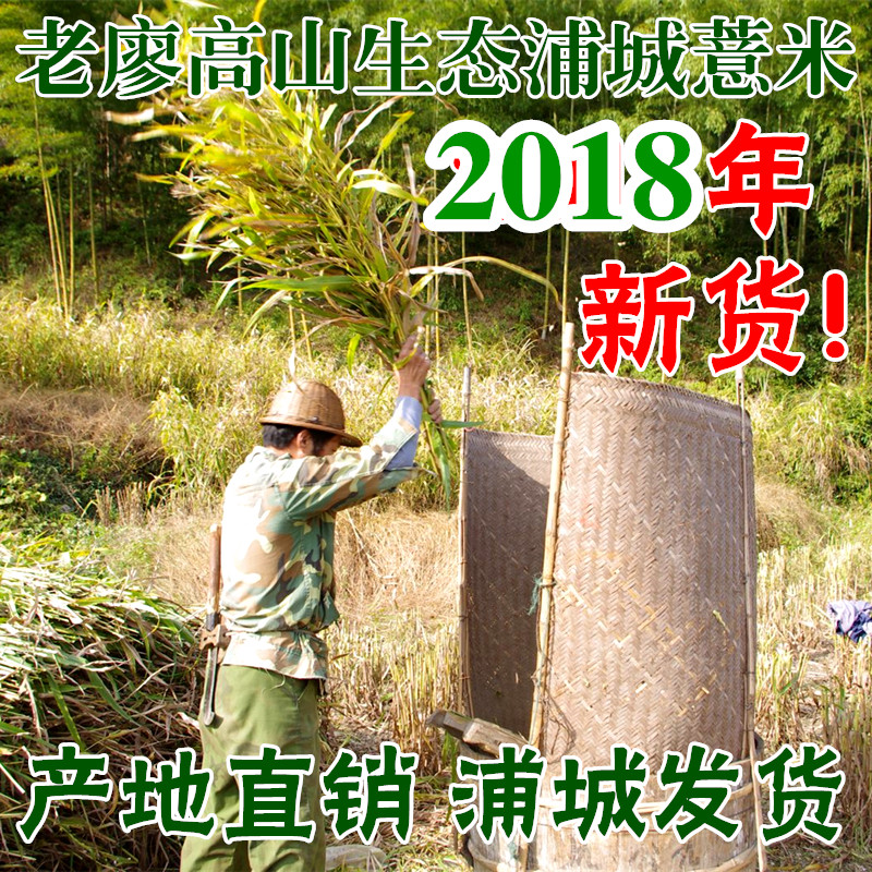 18年新薏米 老廖高山浦城薏米农家小薏米仁薏仁米 买2斤包邮|msdalam kategori beras/Utara-Selatan barangan kering/perasa, meter/tepung/bijirin, RICE, Barley - dari Buy2taobao.com untuk memberikan perkhidmatan ejen Taobao profesional membeli