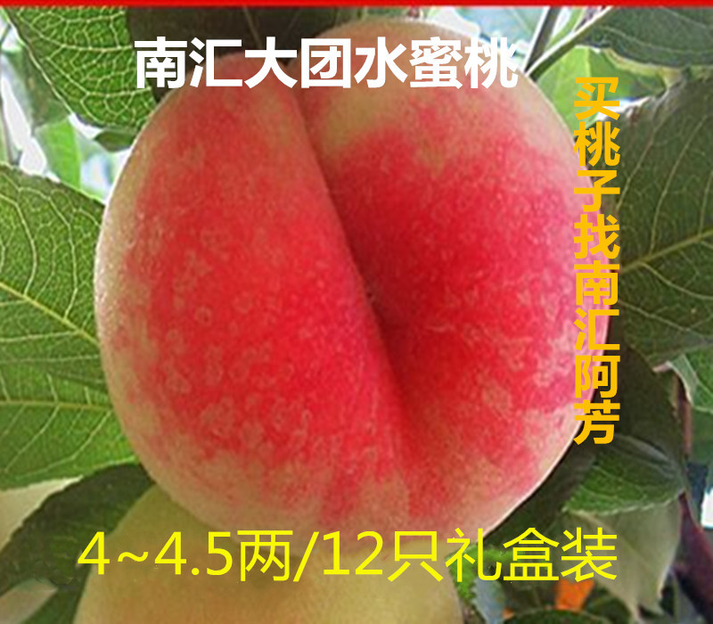 上海南汇水蜜桃大团蜜露4~4.5两12只 新鲜水果PK无锡阳山桃子在类目 水产肉类/新鲜蔬果/熟食, 新鲜水果, 桃中 - 来自Buy2taobao.com提供专业的淘宝代购服务