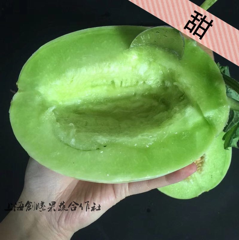 上海南汇玉菇甜瓜香瓜农家新鲜水果非哈密瓜网纹瓜羊角蜜5斤包邮在类目 水产肉类/新鲜蔬果/熟食, 新鲜水果, 甜瓜中 - 来自Buy2taobao.com提供专业的淘宝代购服务