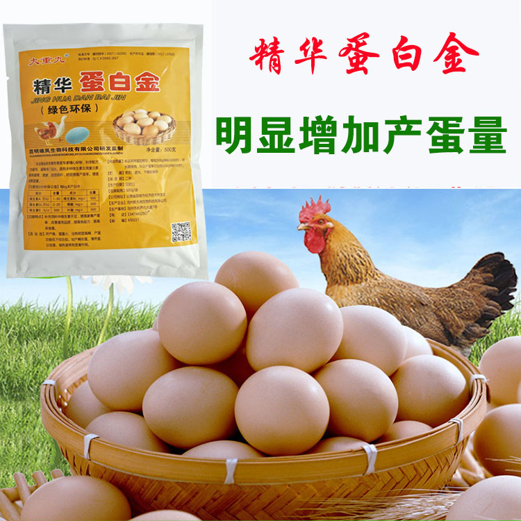 蛋多多增蛋宝兽用蛋鸡宝鸡药鸭鹅鸽子鹌鹑催蛋散延长产蛋素500克|msdalam kategori Penternakan haiwan/bekalan pertanian, Feed, Aditif makanan - dari Buy2taobao.com untuk memberikan perkhidmatan ejen Taobao profesional membeli
